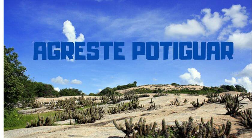 Banner de capa da notícia Concurso Prefeituras do Agreste Potiguar: edital com 499 vagas