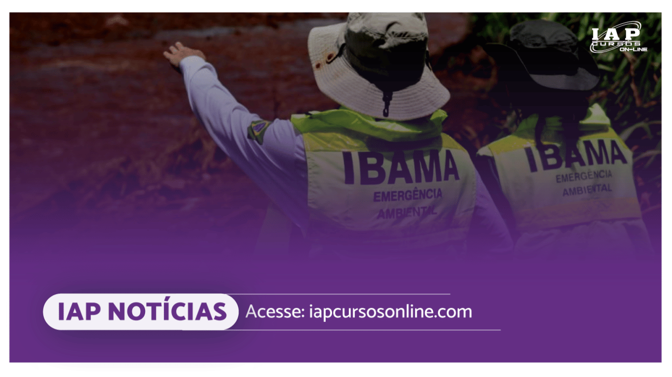 Banner de capa da notícia Concurso Ibama: órgão confirma planejamento para novo edital