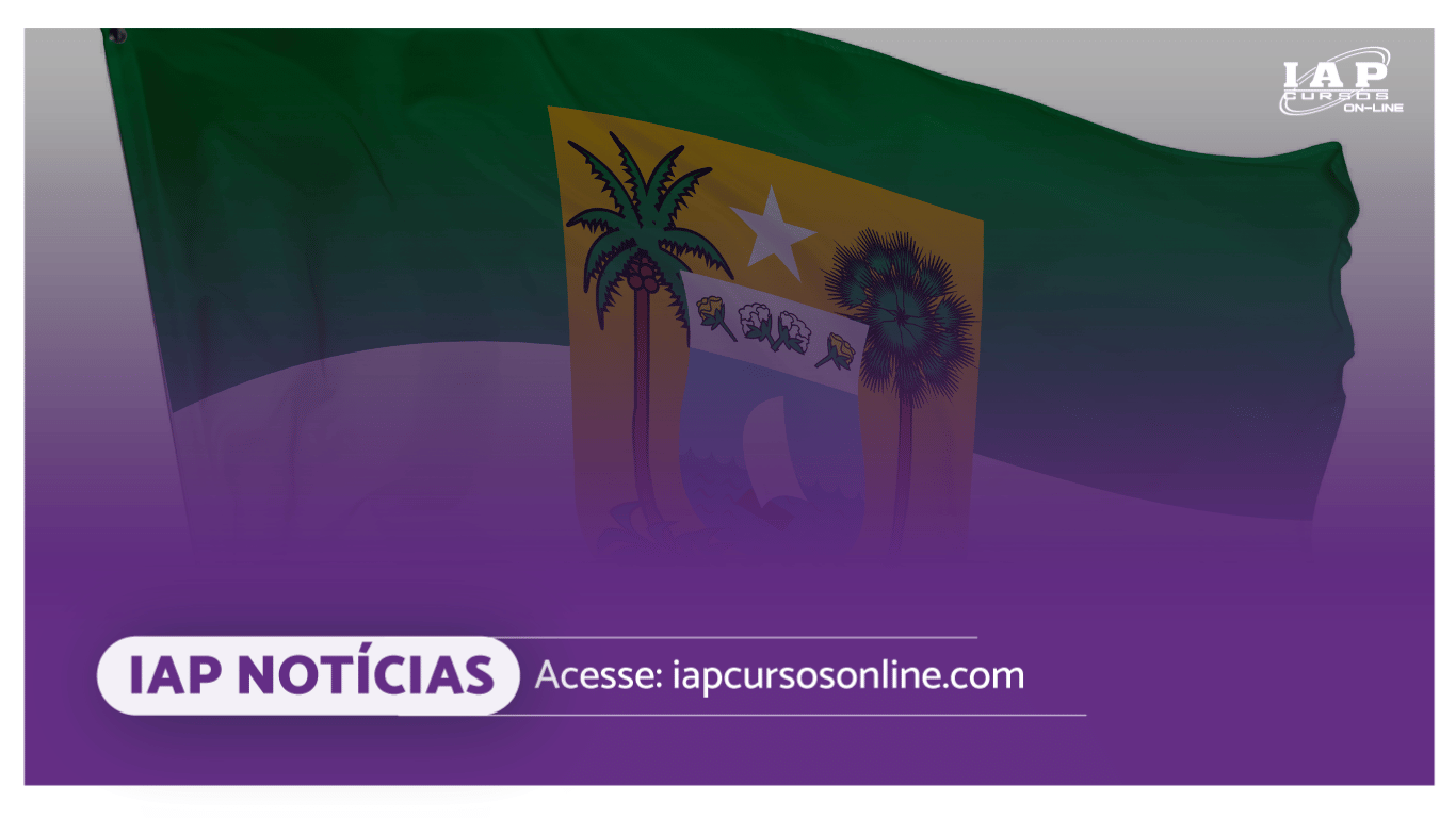 Banner de capa da notícia Concursos públicos no RN: Secretário pretende nomear 1.000 novos servidores no início de 2024