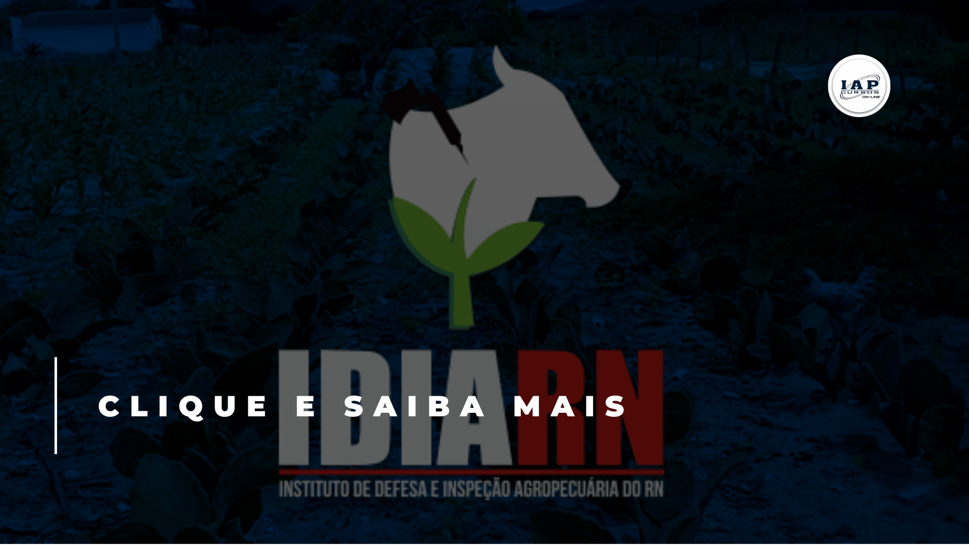 Banner de capa da notícia Concurso público IDIA RN: comissão organizadora é formada para novo edital.