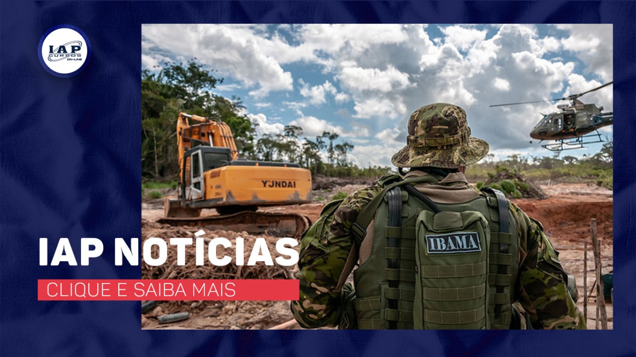 Banner de capa da notícia Concurso Ibama 2021: sai edital com 568 vagas efetivas