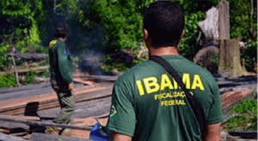 Banner de capa da notícia Concurso IBAMA: MPF pede novo certame para 30 dias 