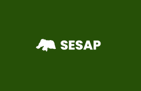 Banner com arte do curso: SESAP Avançada (questões) - Base para todos os cargos